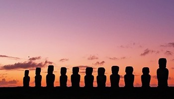 Energie update Witte Hond levenspad 4 - 16 november 2022: Voeding voor de ziel